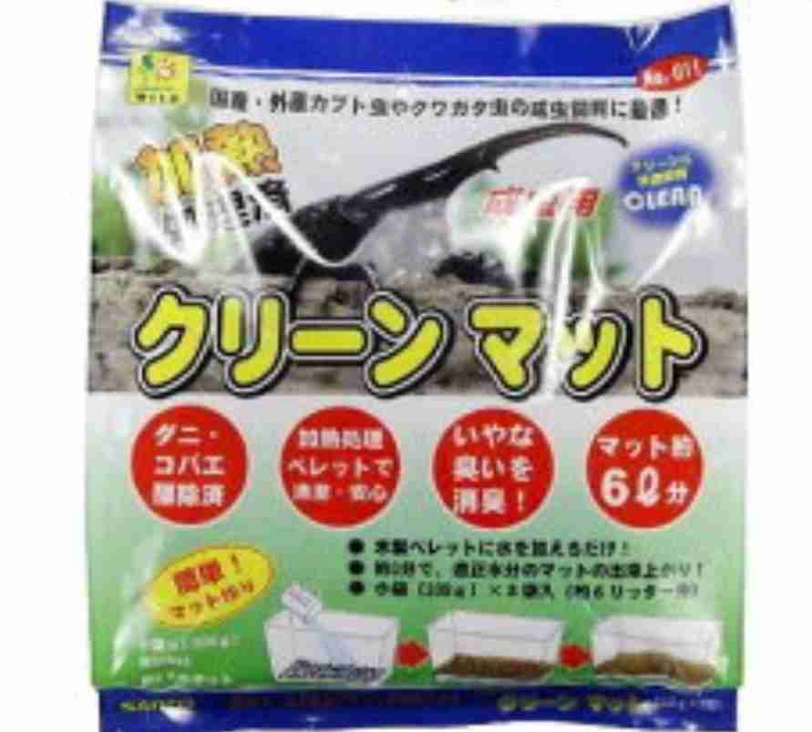 男の子のお母さん、カブトムシなど虫飼ってますか?