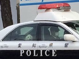 いつもと違うっていう画像を貼るトピ