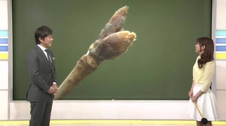 心が和む楽しい画像♪