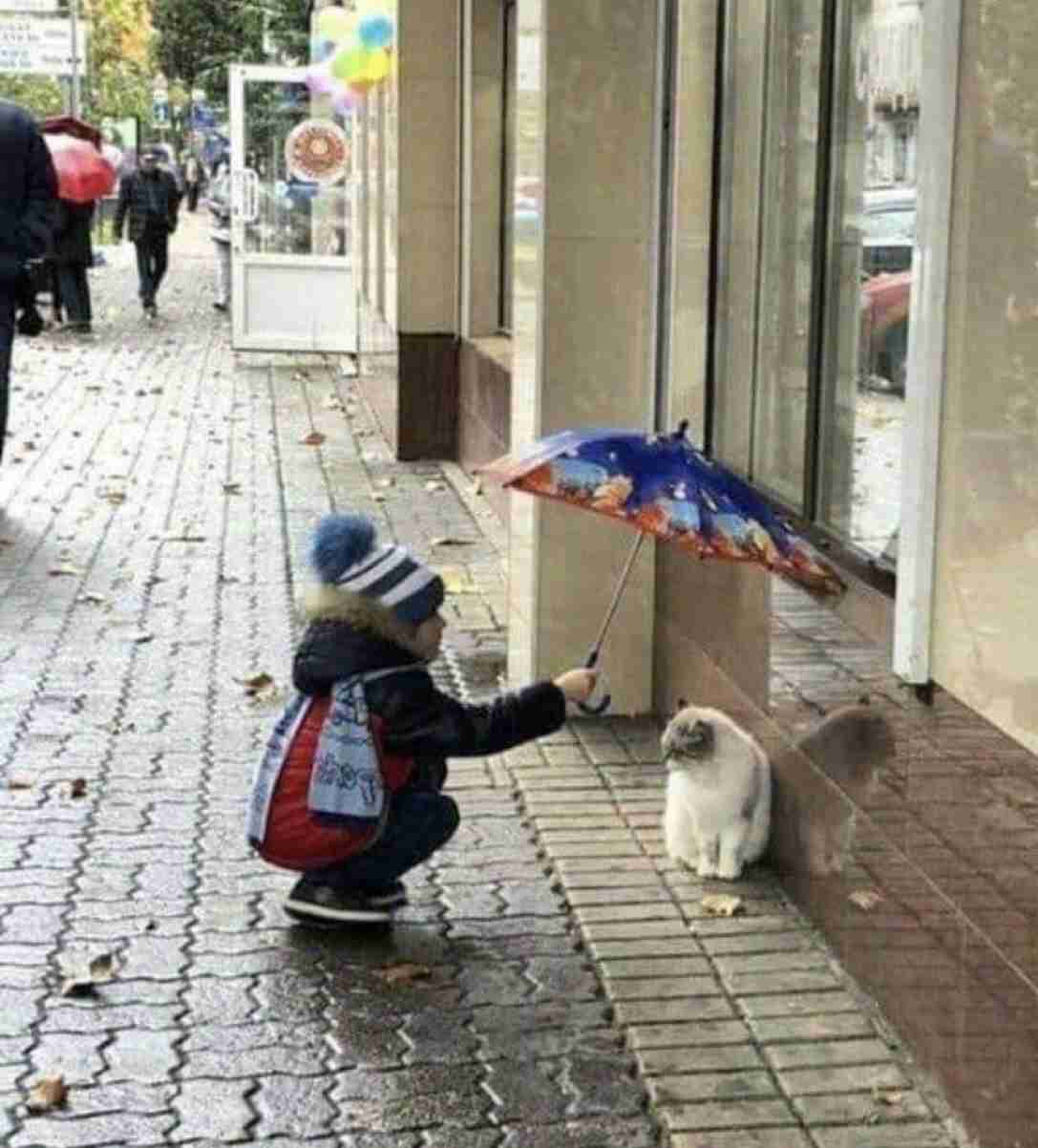 心が和む楽しい画像♪