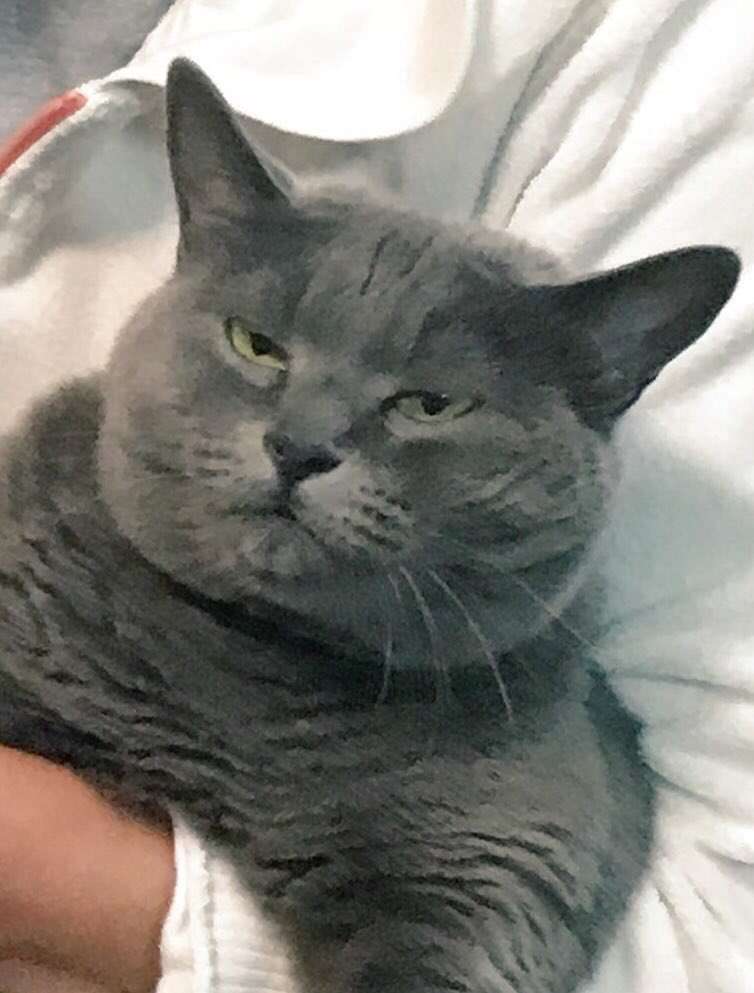 心が和む楽しい画像♪