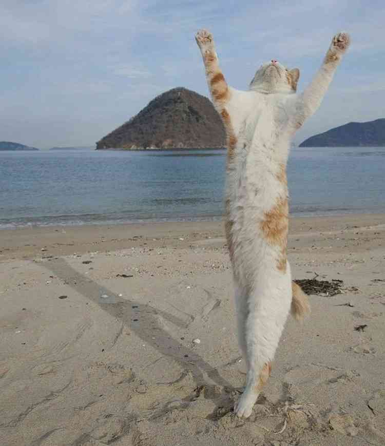 心が和む楽しい画像♪