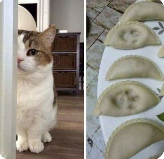 心が和む楽しい画像♪