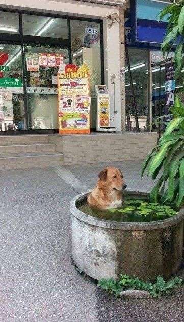 心が和む楽しい画像♪