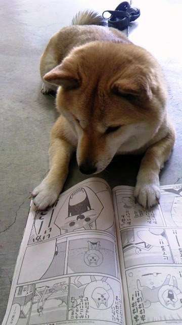 心が和む楽しい画像♪