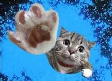 心が和む楽しい画像♪