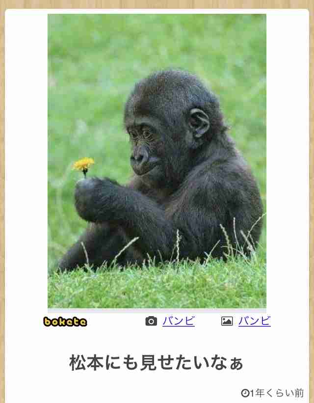 心が和む楽しい画像♪