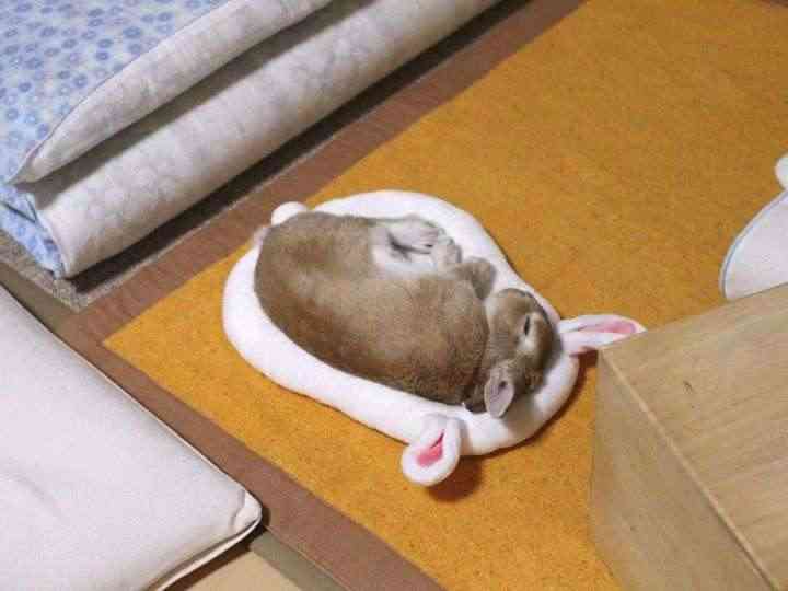 心が和む楽しい画像♪