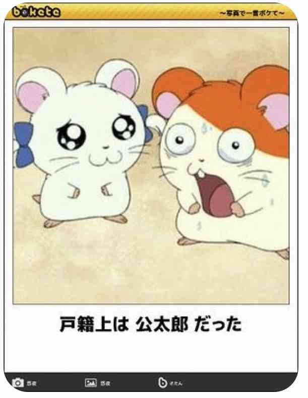 心が和む楽しい画像♪