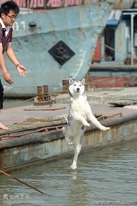 心が和む楽しい画像♪