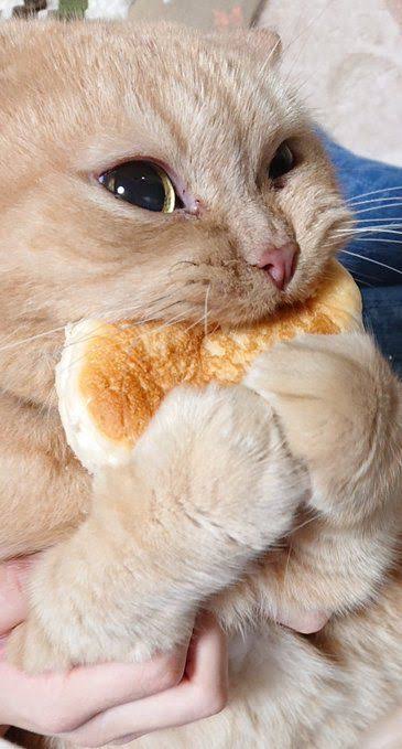心が和む楽しい画像♪