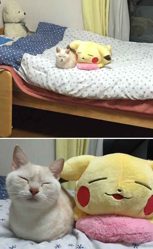 心が和む楽しい画像♪