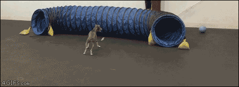 心が和む楽しい画像♪
