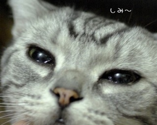心が和む楽しい画像♪