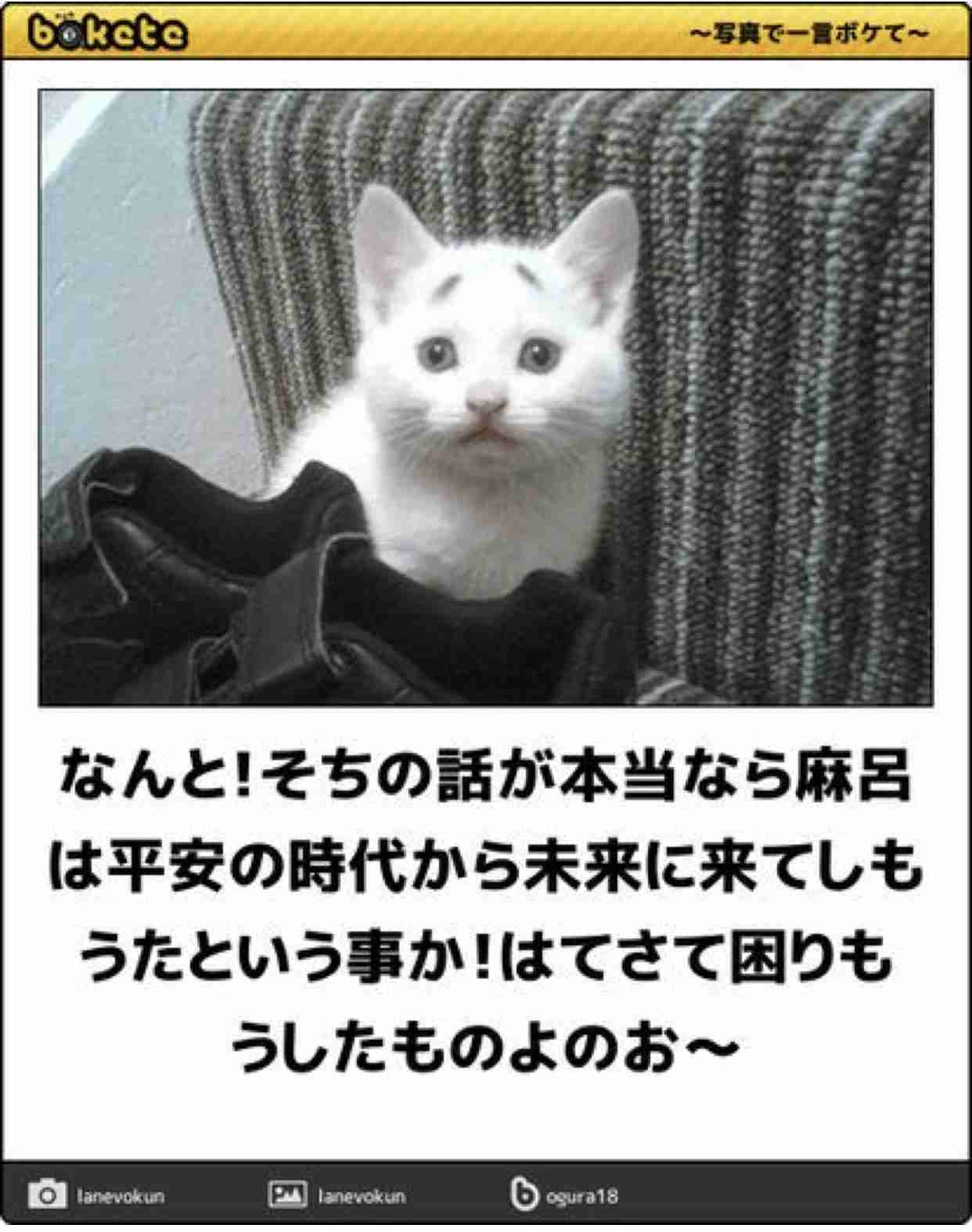 心が和む楽しい画像♪