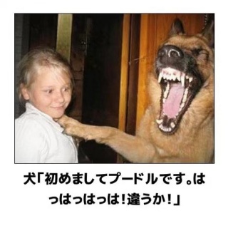 心が和む楽しい画像♪