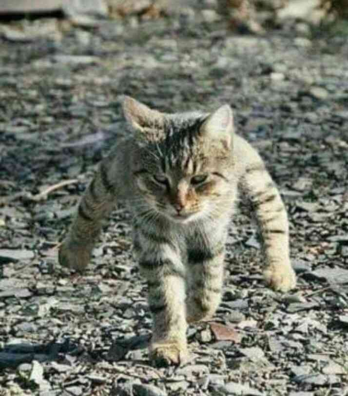 心が和む楽しい画像♪