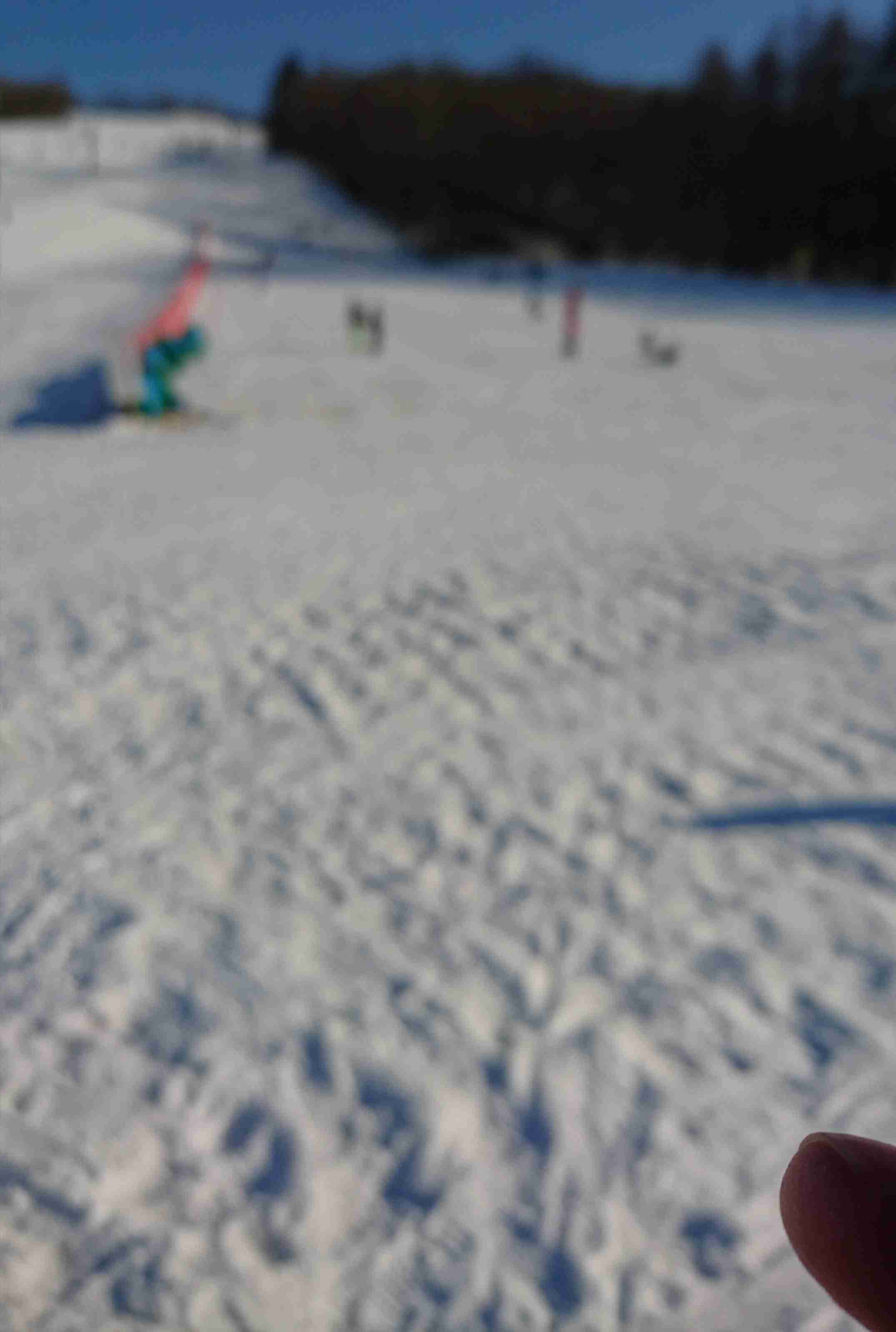 写真下手くそ選手権