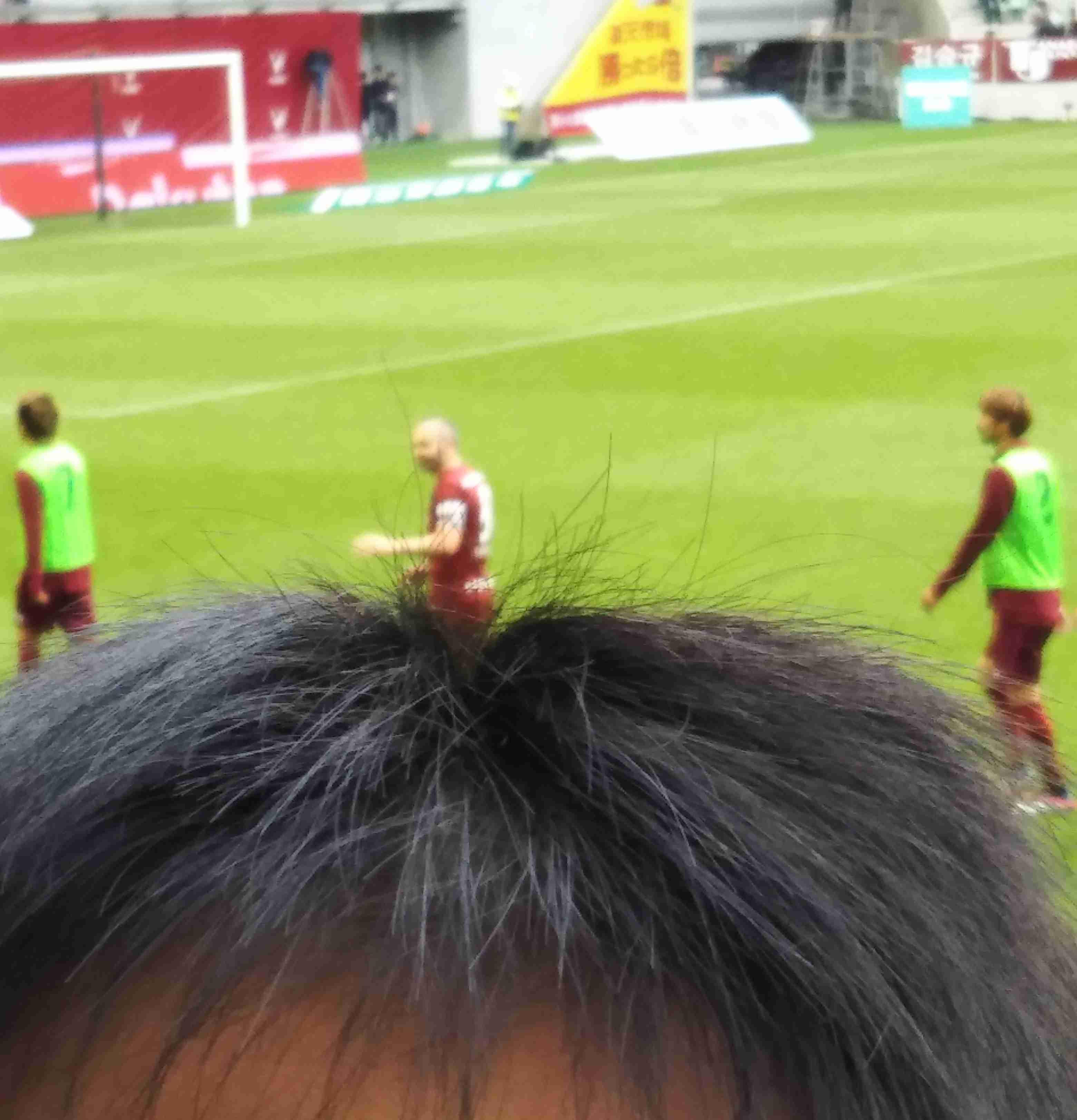 写真下手くそ選手権