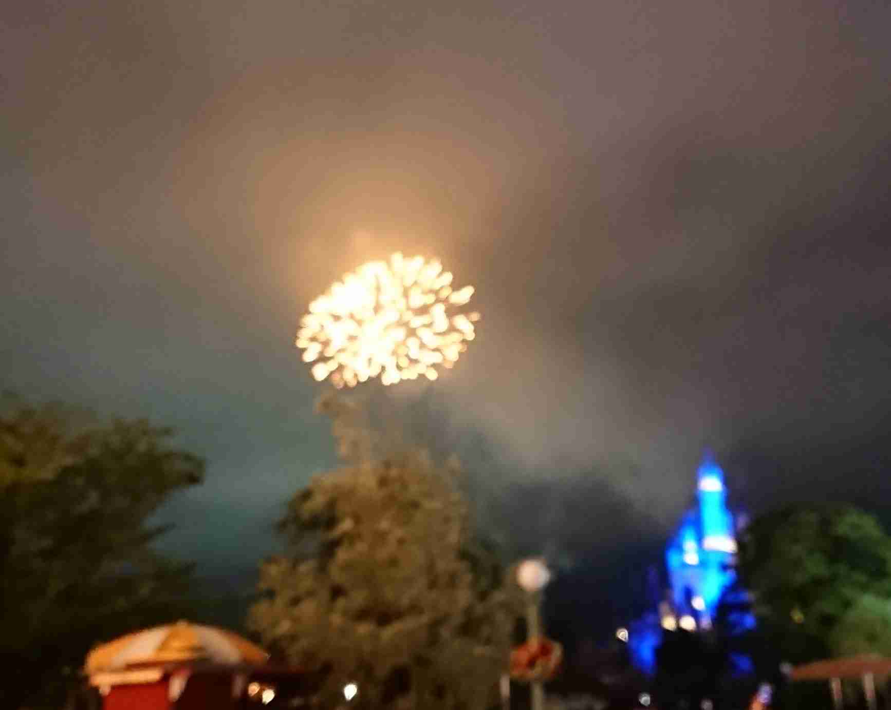 写真下手くそ選手権