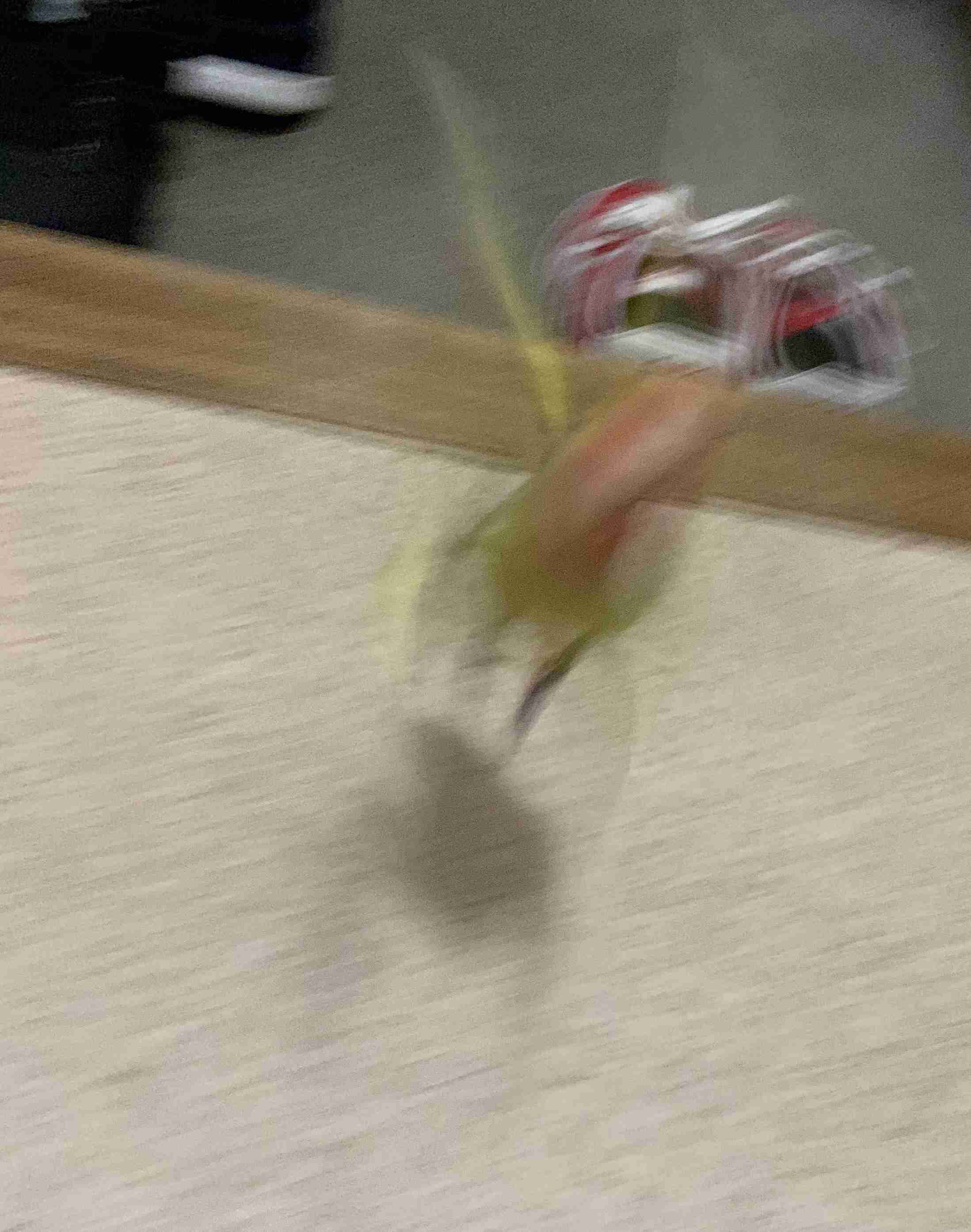 写真下手くそ選手権