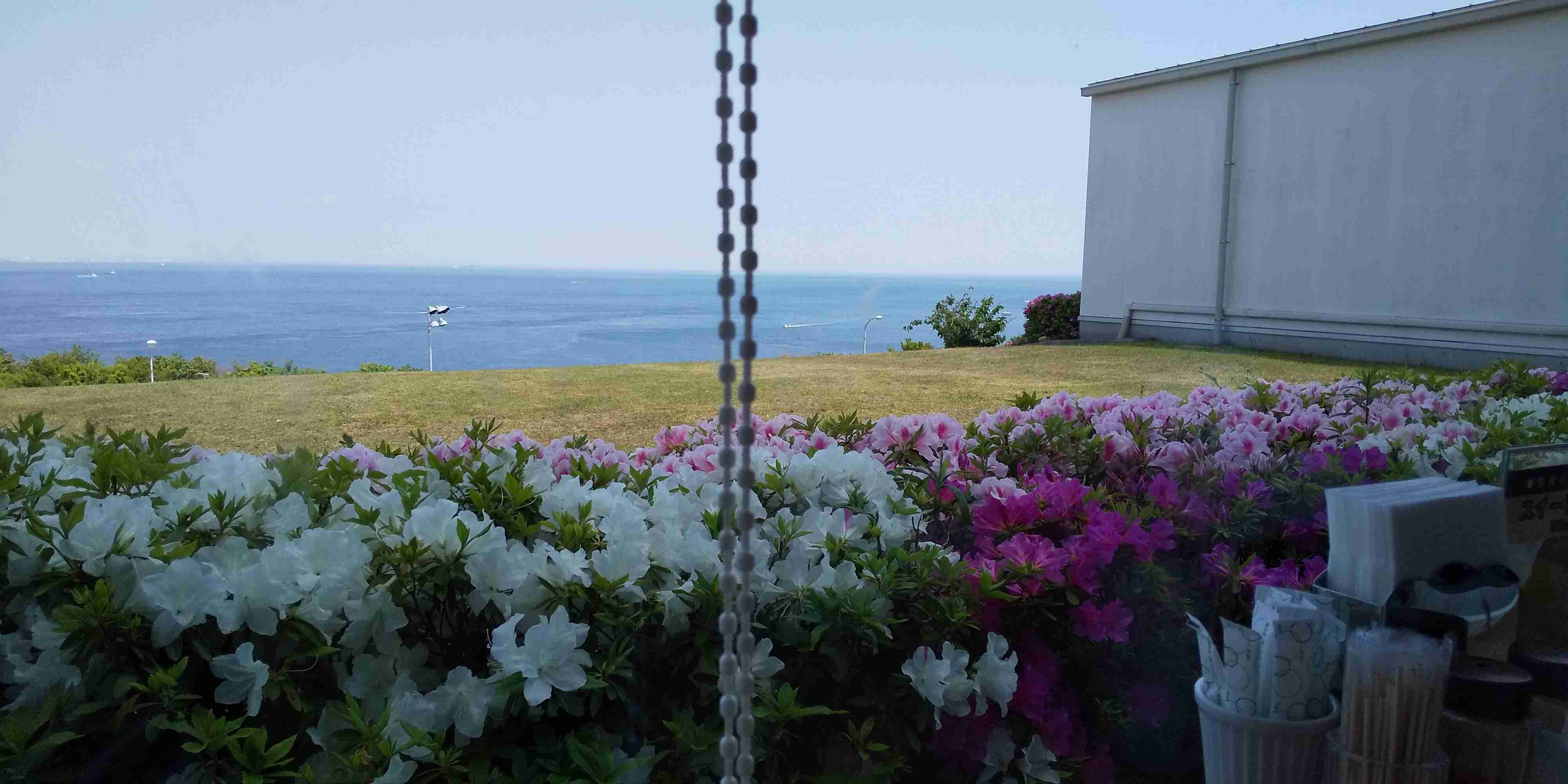 写真下手くそ選手権
