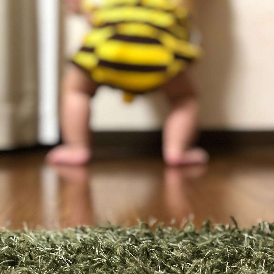写真下手くそ選手権