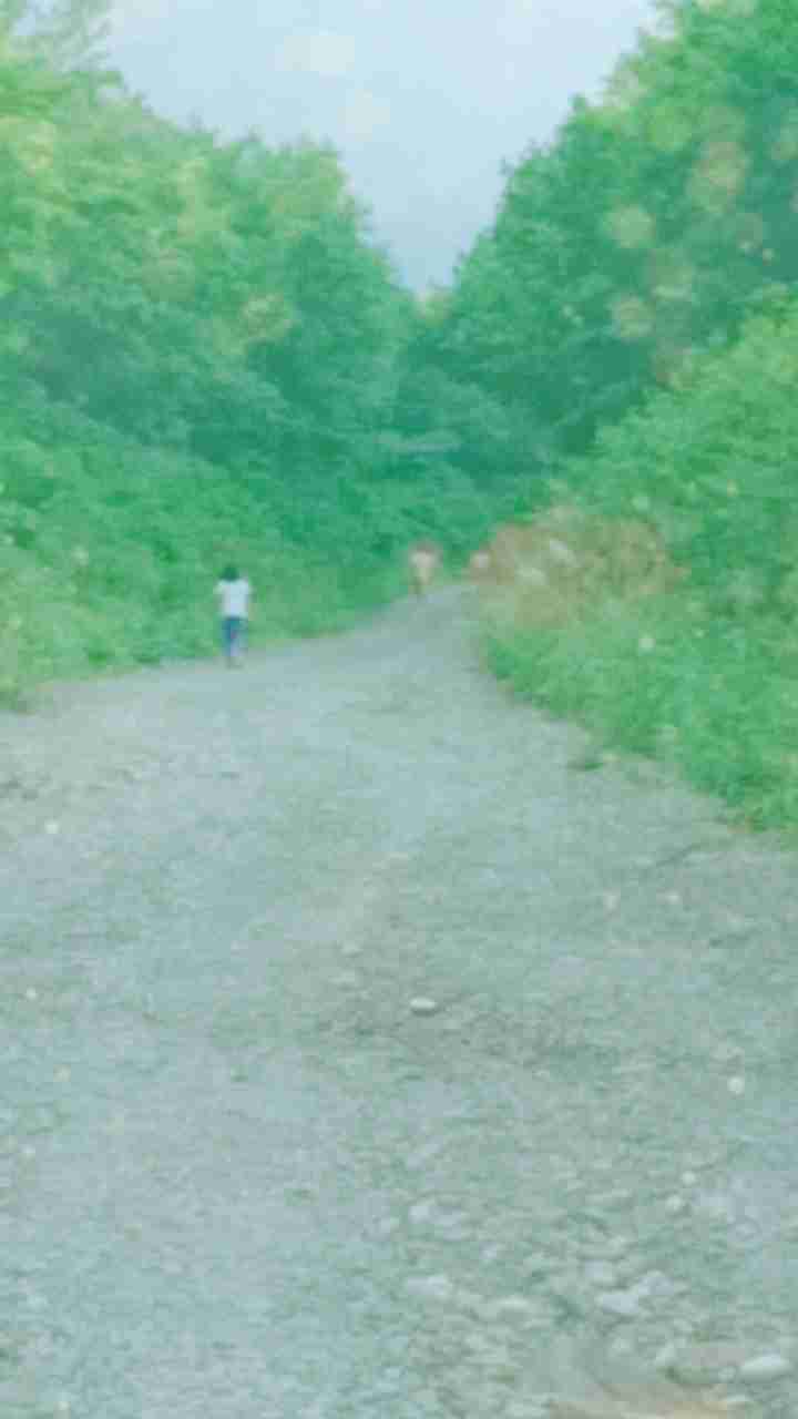 写真下手くそ選手権