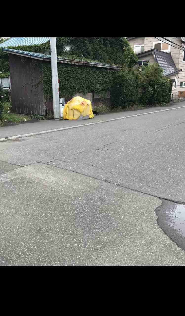 写真下手くそ選手権
