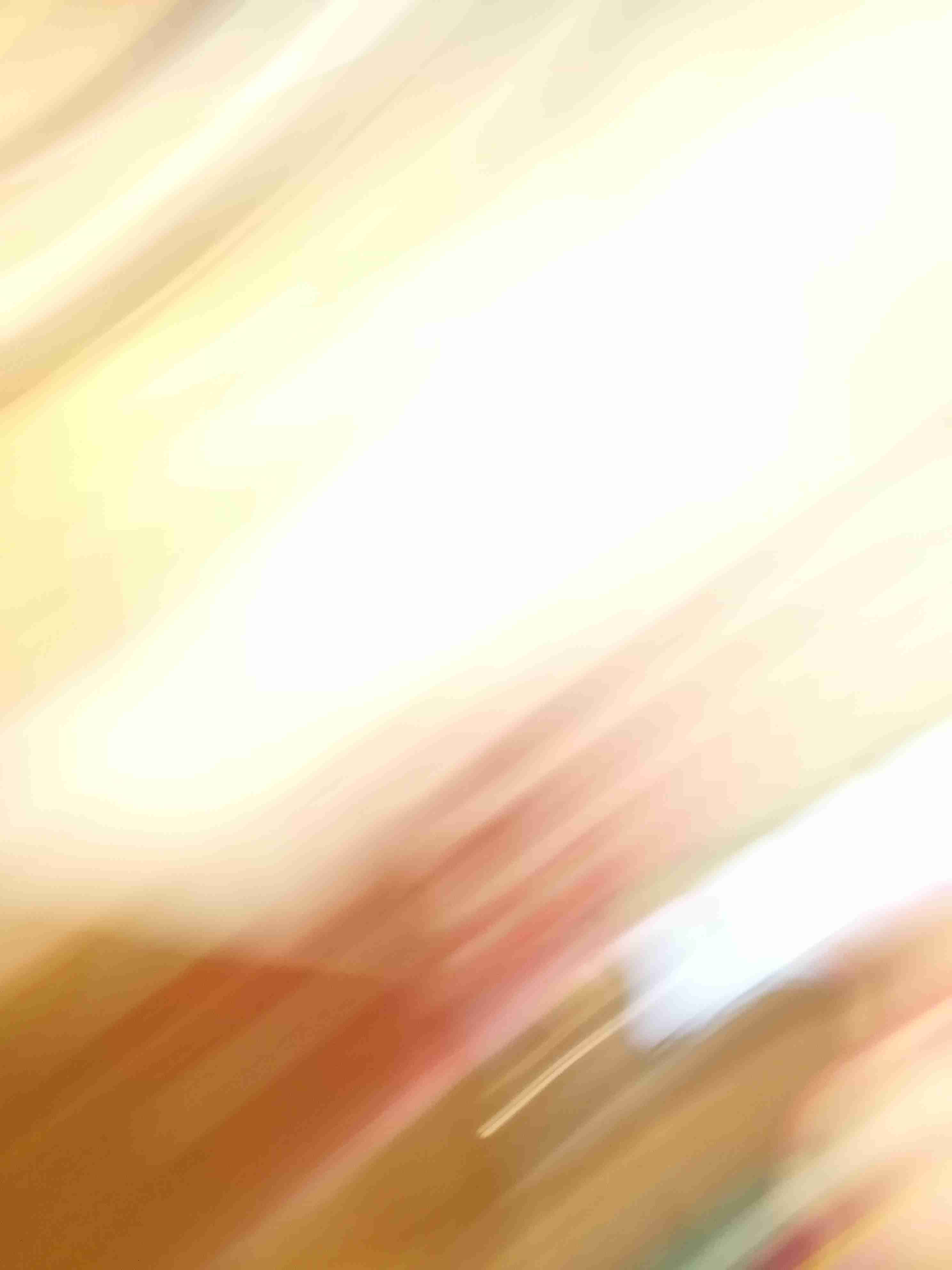 写真下手くそ選手権