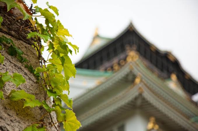 写真下手くそ選手権