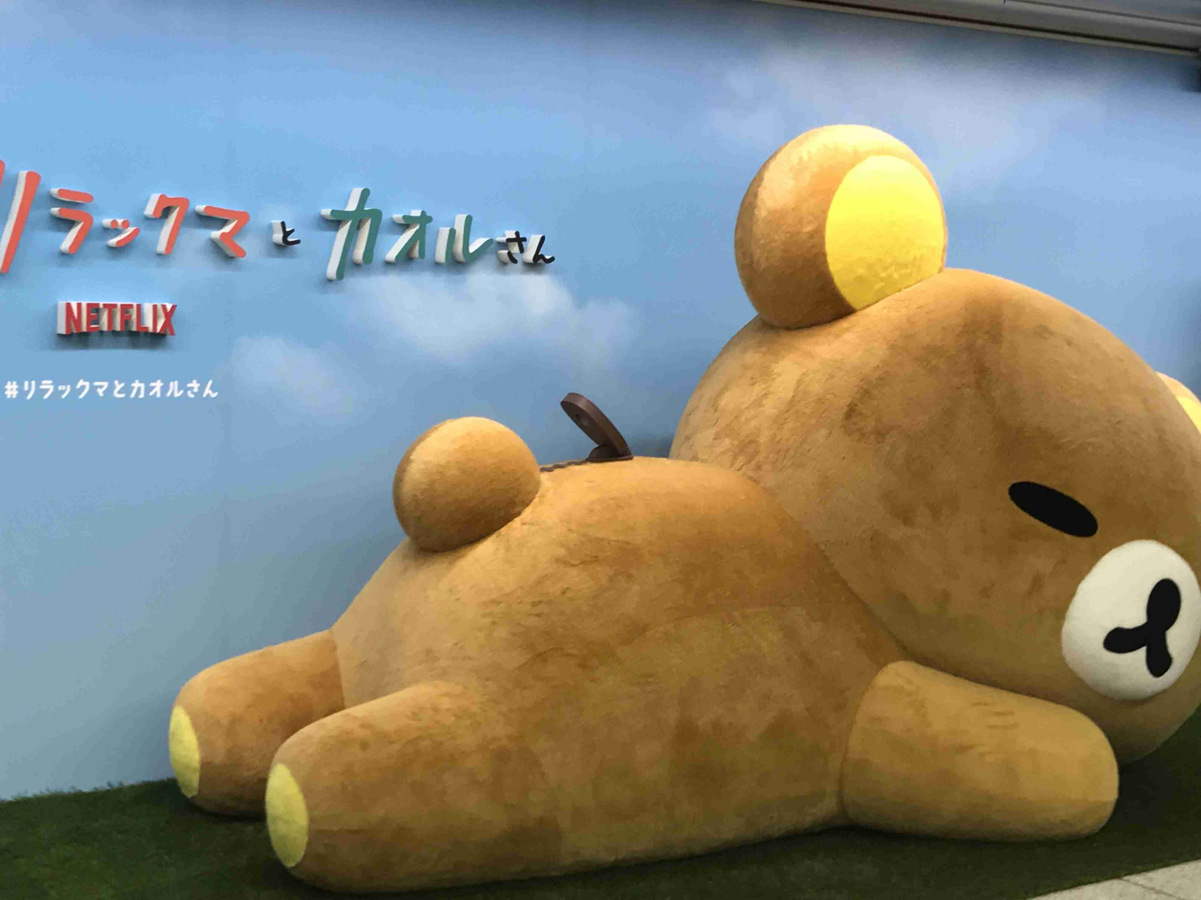 写真下手くそ選手権