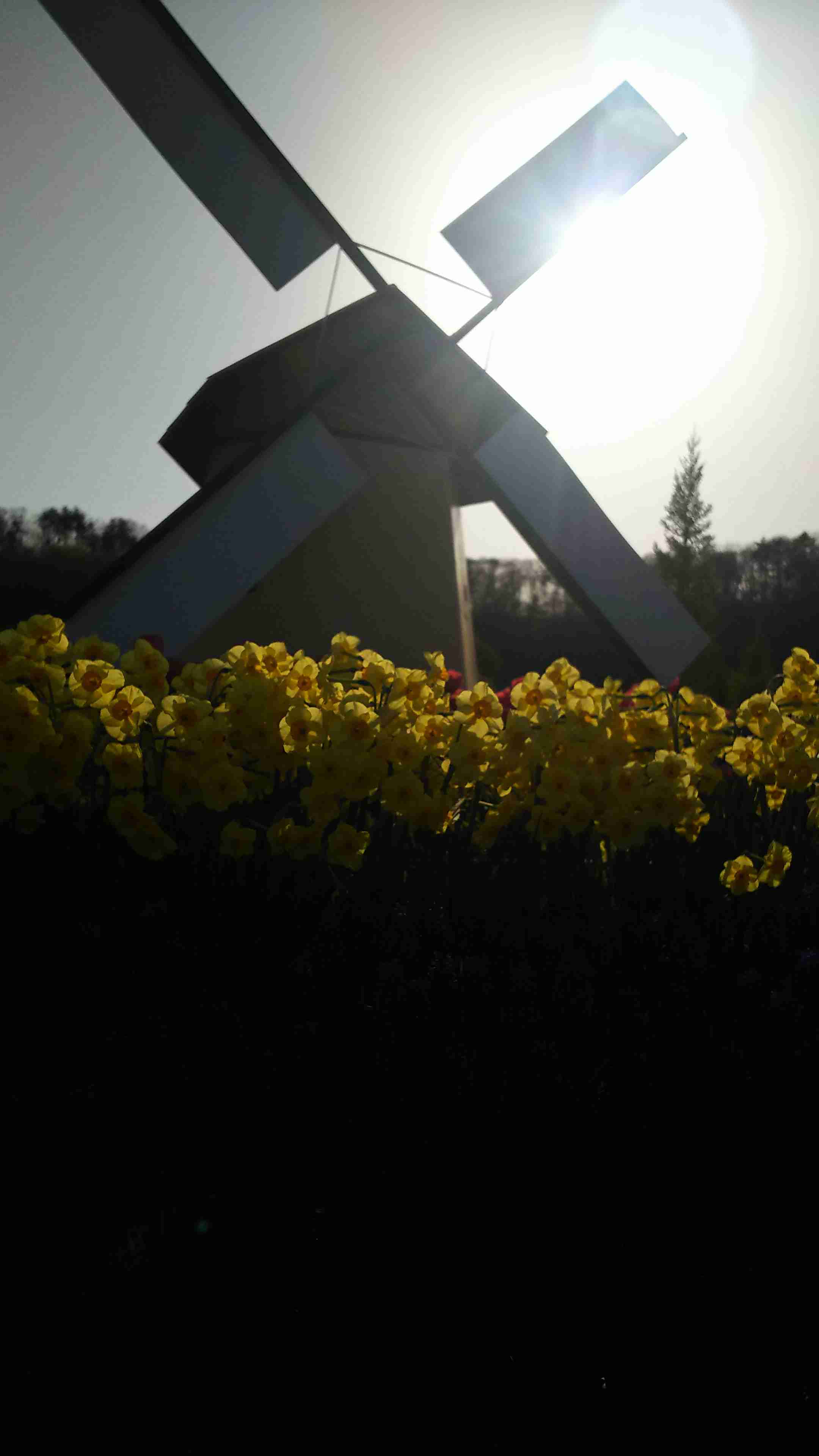 写真下手くそ選手権