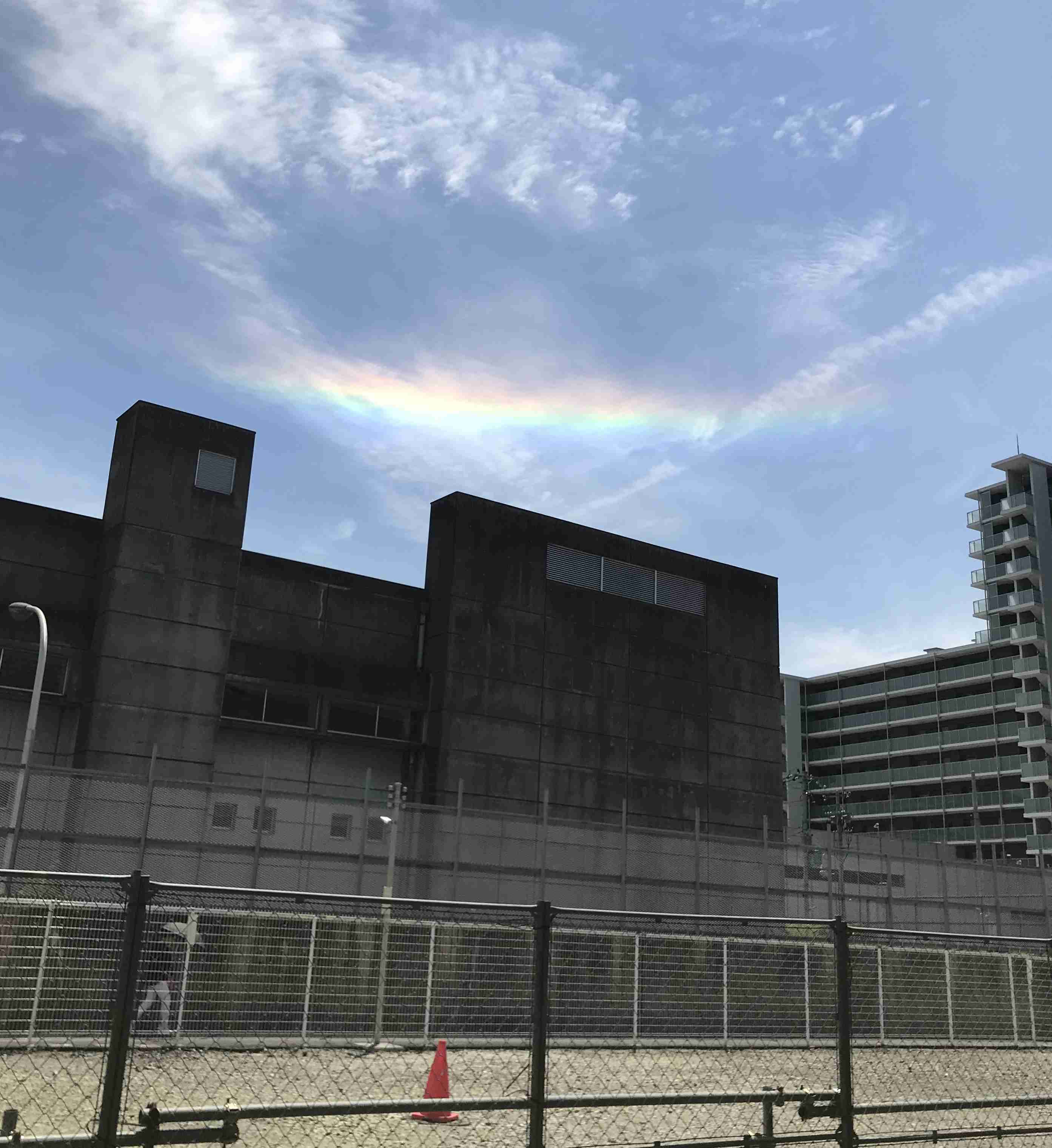 写真下手くそ選手権