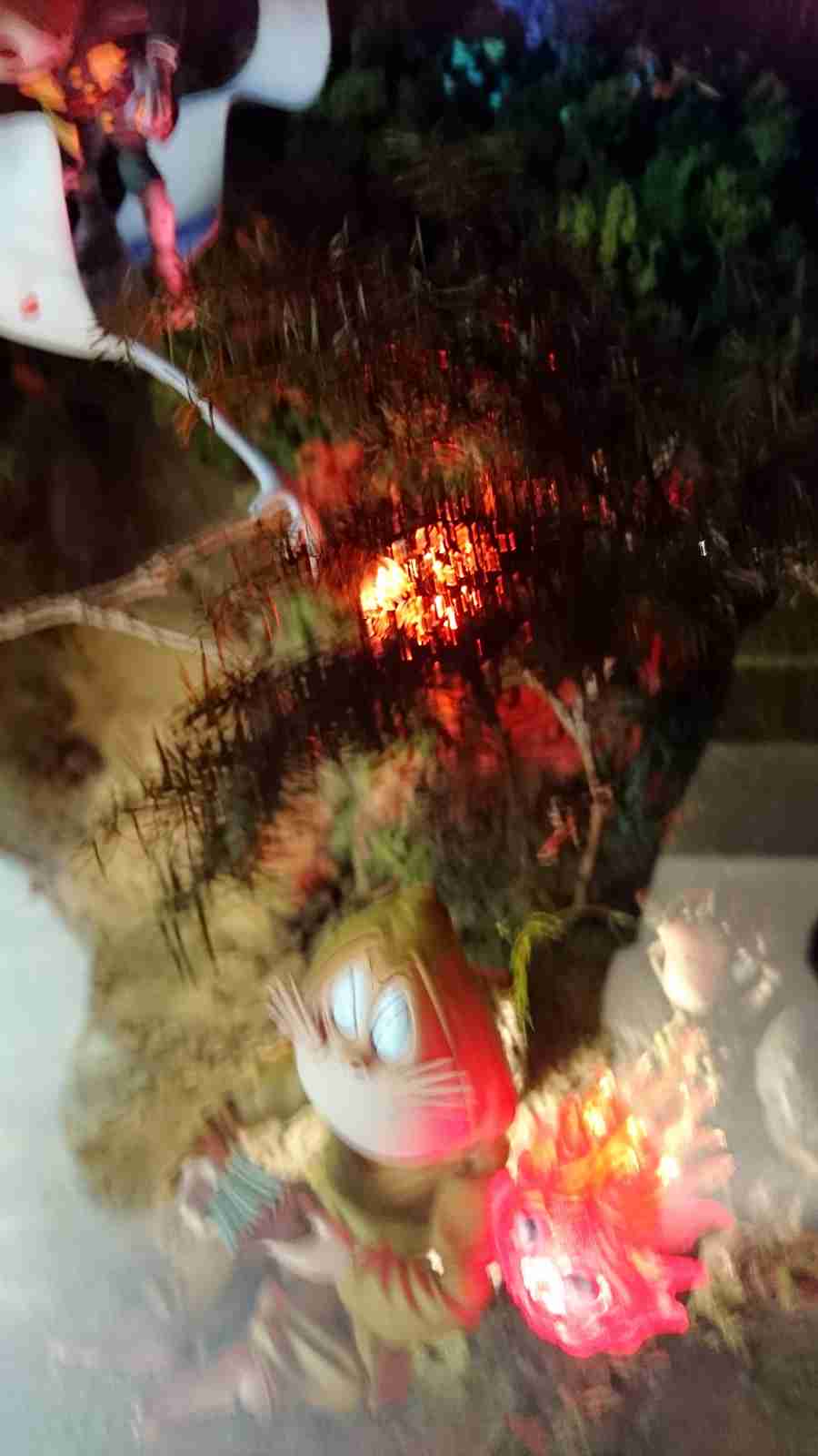 写真下手くそ選手権