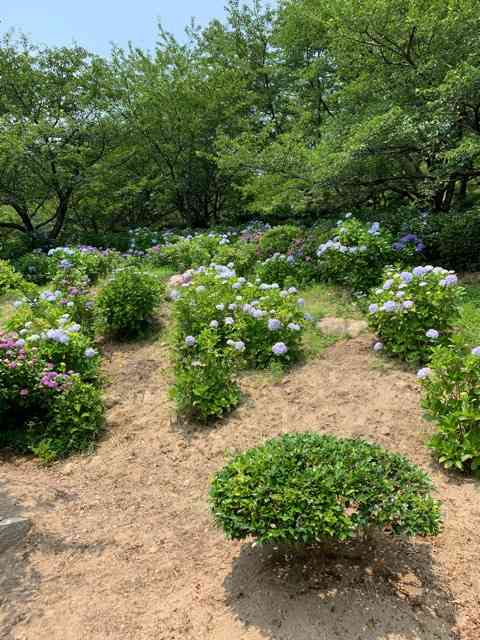 写真下手くそ選手権
