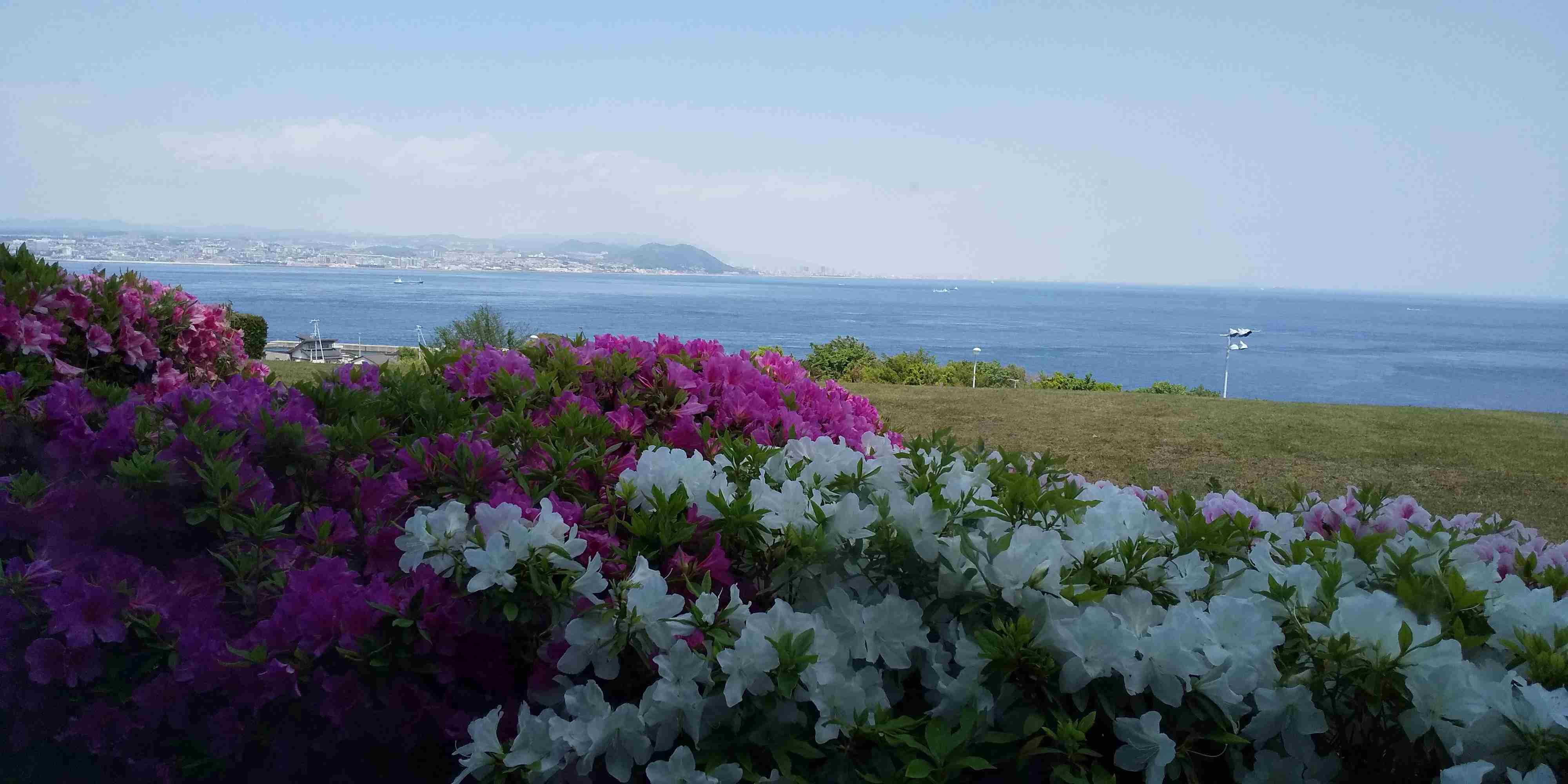 写真下手くそ選手権