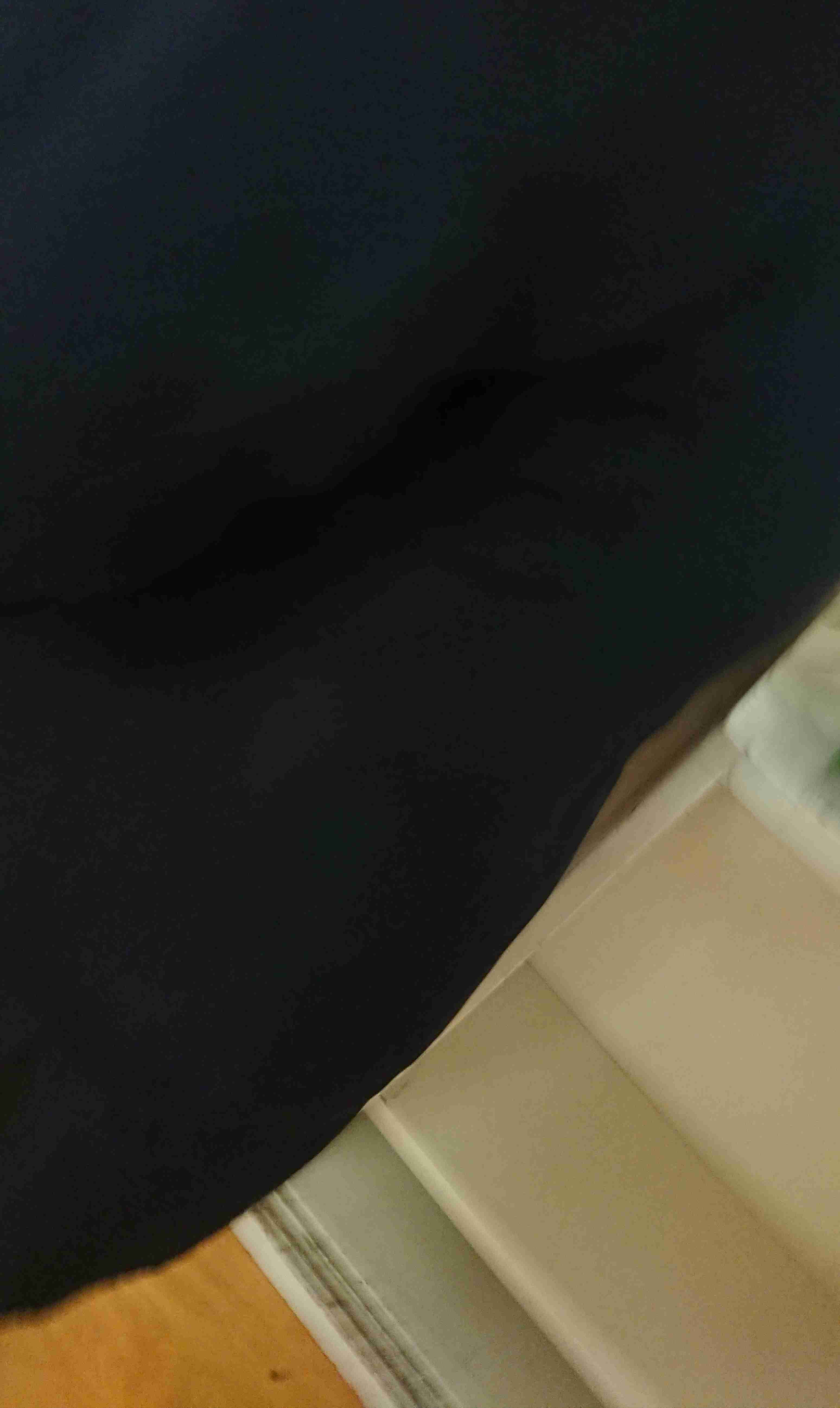 写真下手くそ選手権