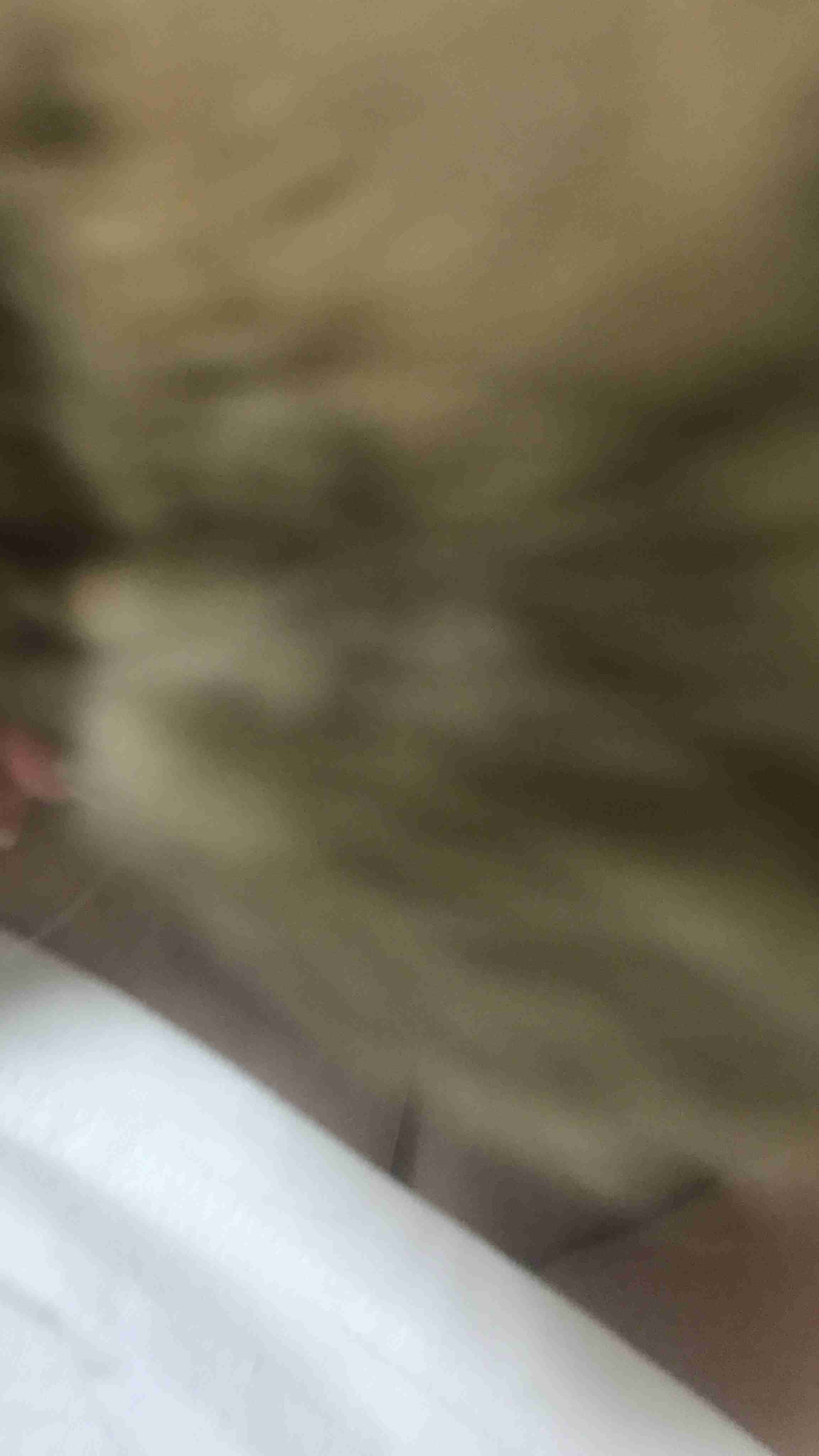 写真下手くそ選手権