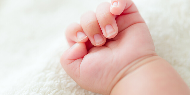 触れて癒やされるもの