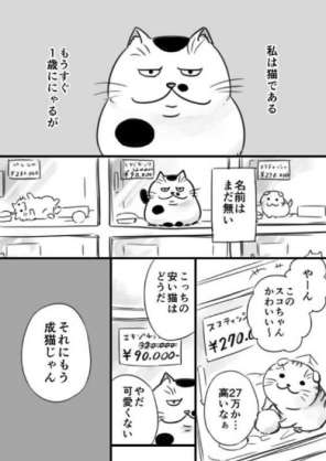 一番感情移入した漫画などのキャラクター