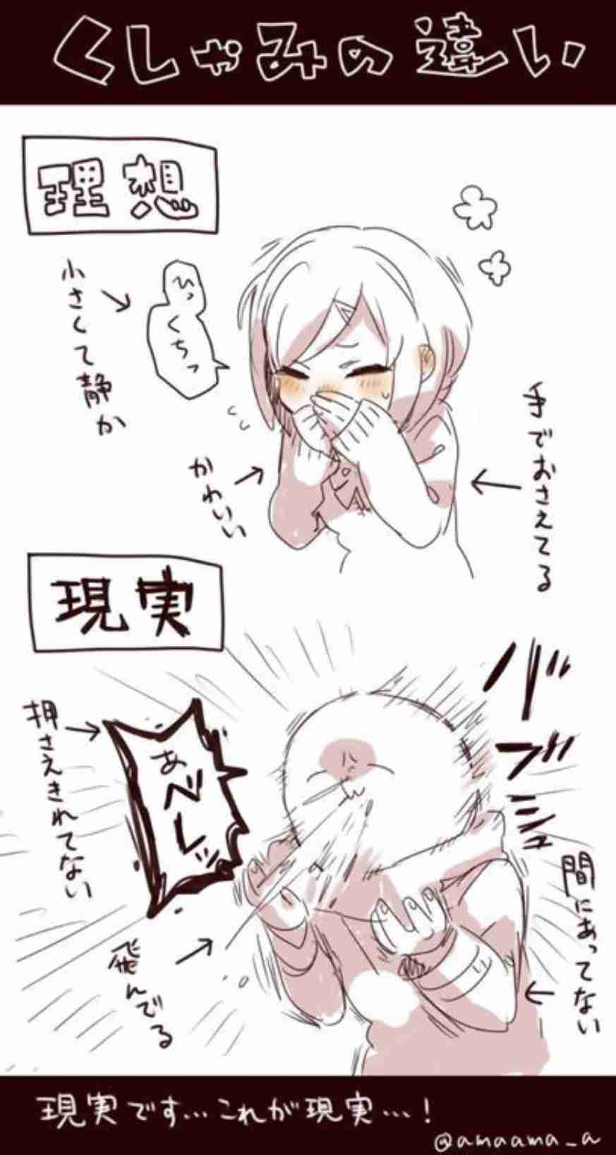 理想と現実