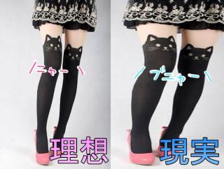理想と現実