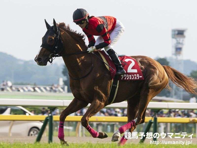 【アクションスター】結局一番強い男は誰なのか【ネタ可】