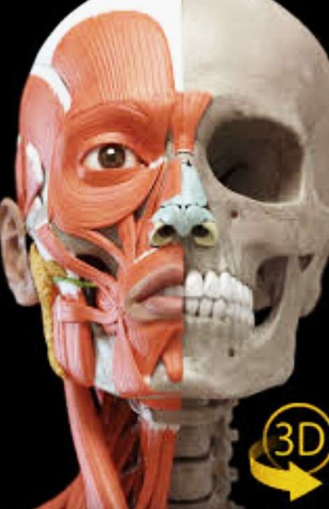 花田美恵子、花田虎上も知らない「隠された2度めの離婚」