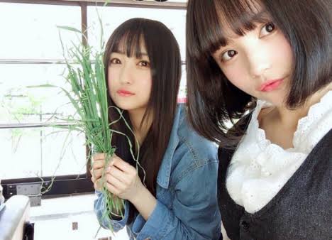AKB48、56thシングル『サステナブル』発売　センターには現役高校生メンバー矢作萌夏が抜擢