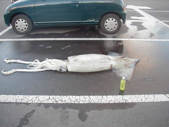人生観が変わった出来事