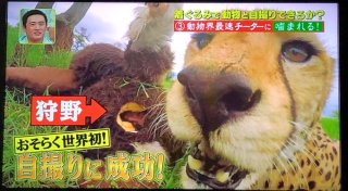狩野英孝、謹慎中は事務所で雑用しつつ、ニッチェの後輩に降格