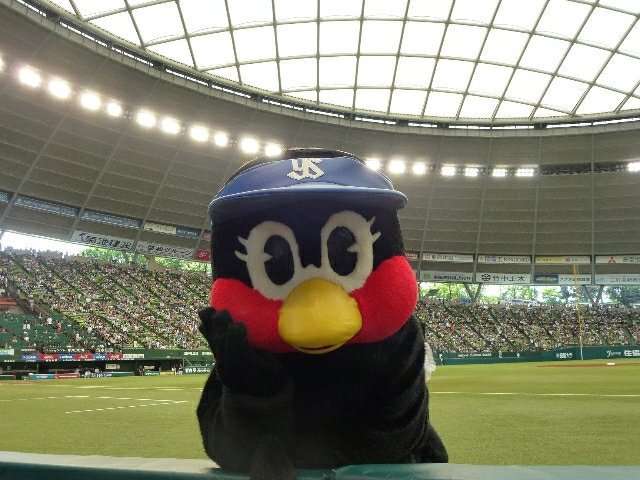 つば九郎とドアラを交互に貼り、時々 他球団マスコットが貼られるトピ