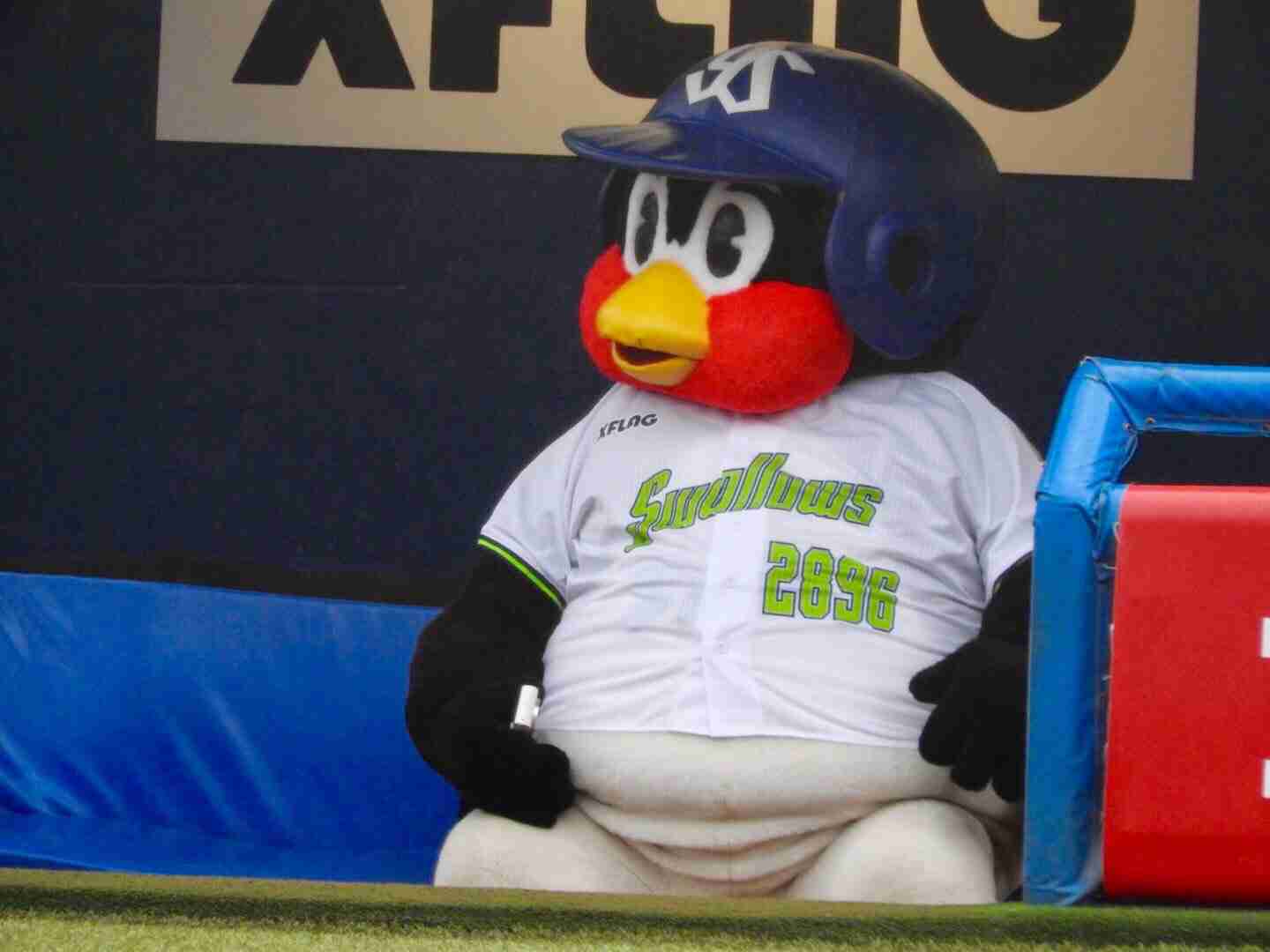 つば九郎とドアラを交互に貼り、時々 他球団マスコットが貼られるトピ